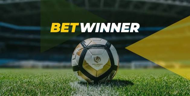 Discovering BetWinner A Comprehensive Overview