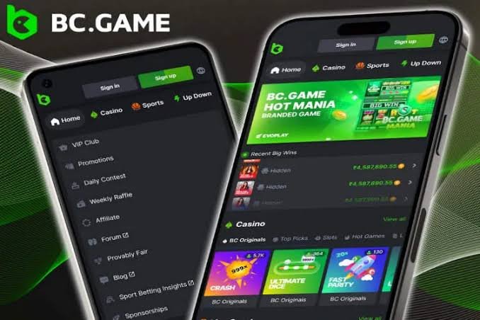 Gioca a Crash su BC Scopri il Mondo del Gioco Gioca a Crash su BC Scopri il Mondo del Gioco